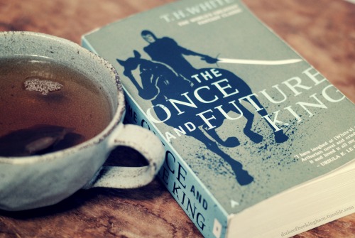 dukeofbookingham: Book Photo Challenge, June 17 | All the Feels Arthur and Lance and Gwen just why