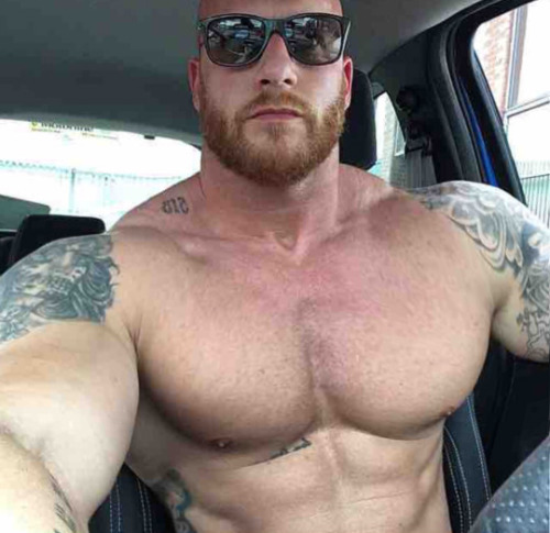 dcgayfit: #Bearded #muscle #ginger