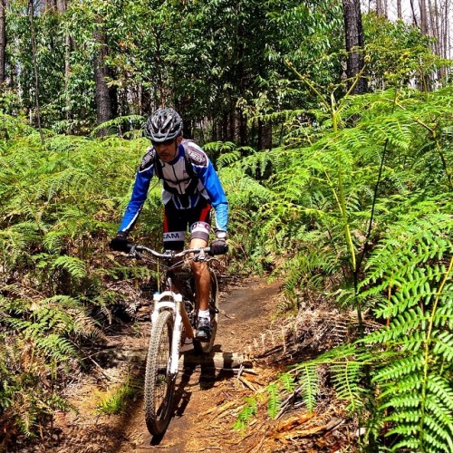 gustavoguru: #mtb #mountainbike #santacruzbicycles #santacruzbikes #perdidosnatrilha #stravaproveit 
