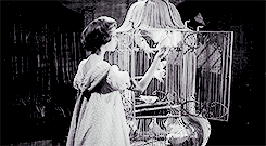 suzierabbit:  Halloween 2k15 | Day 09 | Eyes Without a Face “I know my abilities,