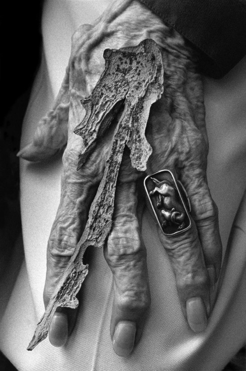 yama-bato: Steven J. Gelberg