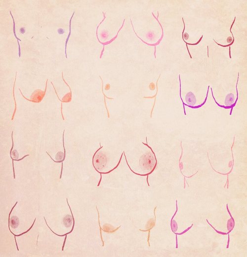 aslifefoundyou: anxiousautumn: skelliwog: velvet-moon: what tits actually look like this made m