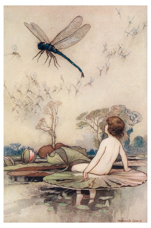 The Water Babies : A Fairy Tale for a Land-Baby by Charles Kingsley.Illustrated by Warwick Goble.Lon