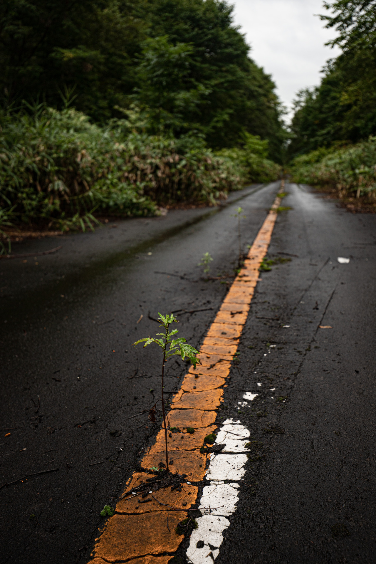 塩狩峠 Tumblr Posts Tumbral Com 塩狩峠 Tumblr Posts Tumbral Com