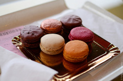 closings:  Macarons by Paris in Four Months on Flickr. 