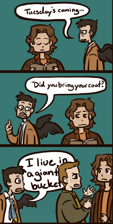 megmcmuffins:  In which Cas knows all the references but still has zero timing or context.  As soon 