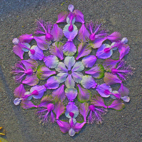 gaksdesigns:  Flower Mandalas by Arizona-based artist Kathy Klein. More here