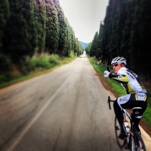 laicepssieinna: On the longest cypress avenue with Frischi junior. #bolgheri #lastridein2013 by nsch