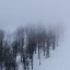 boreal-snow
