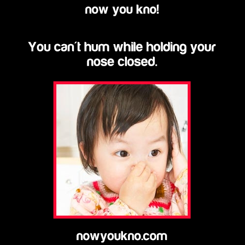 chiefbigtits:   nowyoukno:  Now You Know (Source)  what is thIS BLACK MAGIC 