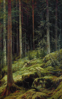 oldpainting: Ivan Shishkin - Debri  Ivan Shishkin, 1832-1898 was a Russian landscape painter closely associated with the Peredvizhniki movement. 