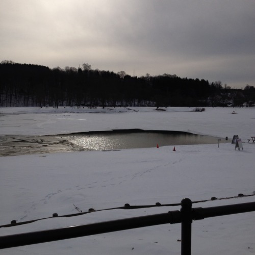 In About An Hour, I'm Going To Be Doing A Polar Plunge Into That Water. It's Currently 16 Degrees Here