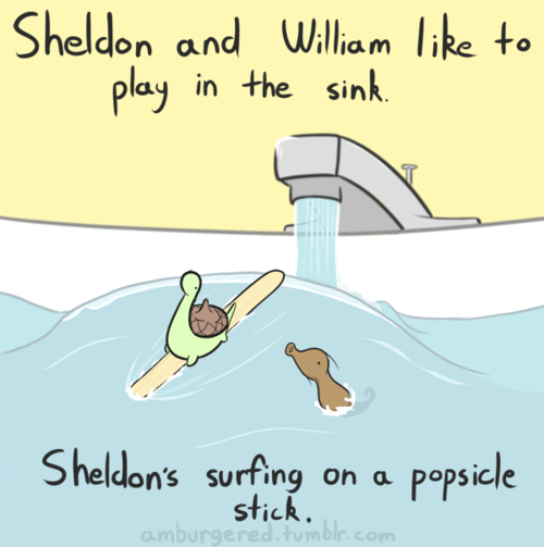 fatherphantom:  Fuck yeah, Sheldon the tiny dinosaur time! love this shit…love