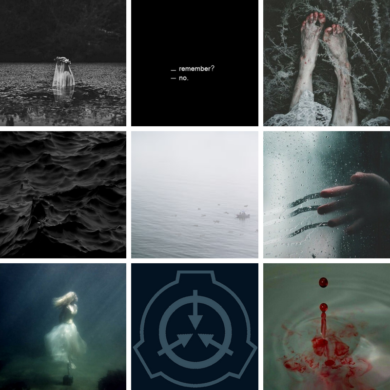 What Does 'You Do Not Recognise the Bodies in the Water' Mean? Creepy SCP  TikTok Explained