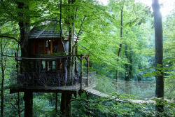 treehauslove:  Auvergne Treehouse. A cozy treehouse with a hanging bridge which leads to the observation deck. The interior is colourful and gets a lot of daylight through the huge windows. Located in Auvergne, France.     Keep reading
