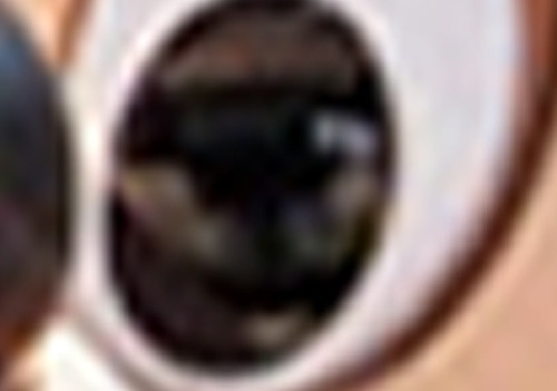 pizzaforpresident:    gotta keep an eye out 