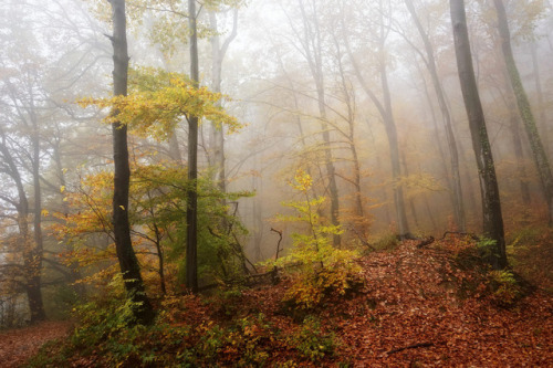 Beautiful Autumn by BphotoR