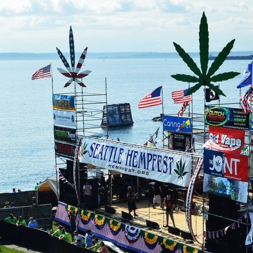 Jasper at 420 Culture