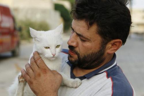 catsbeaversandducks: Alaa, an ambulance driver, feeds cats in Masaken Hanano in Aleppo. Alaa buys ab