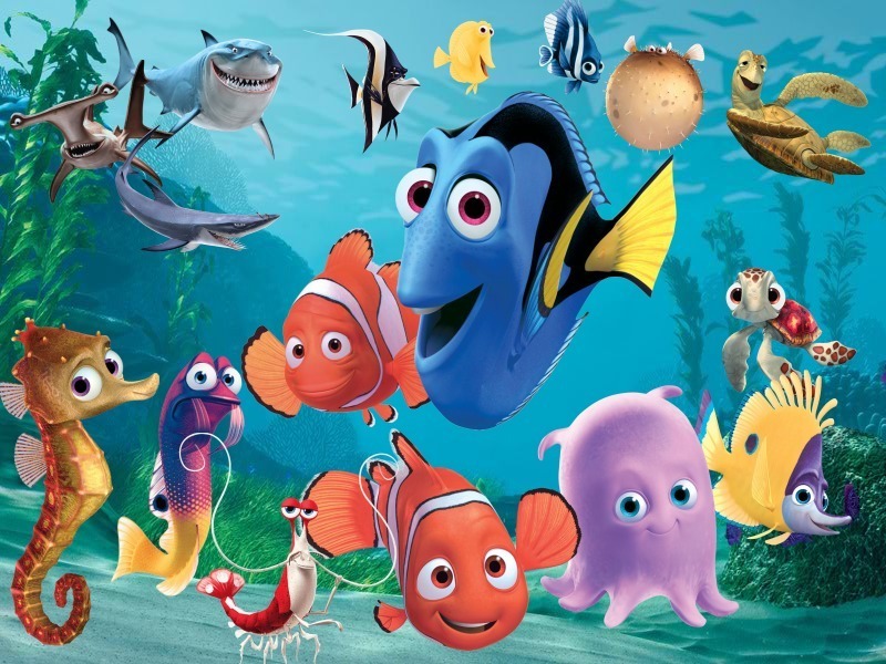 Apparently I found a plot twist in Finding Nemo!... - Marine Science in a  Drop