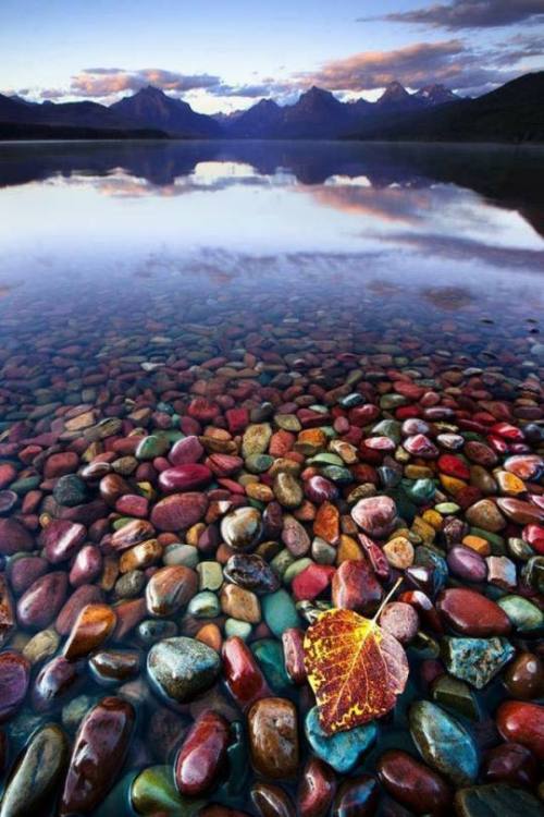 lady-halibuts-chambers:different-landscapes:Lake McDonald, Glacier National Park Montananice!~~!!