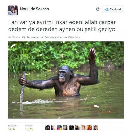 cekikgozluiskelet:ya aq ya saşfkaslşfjasl
