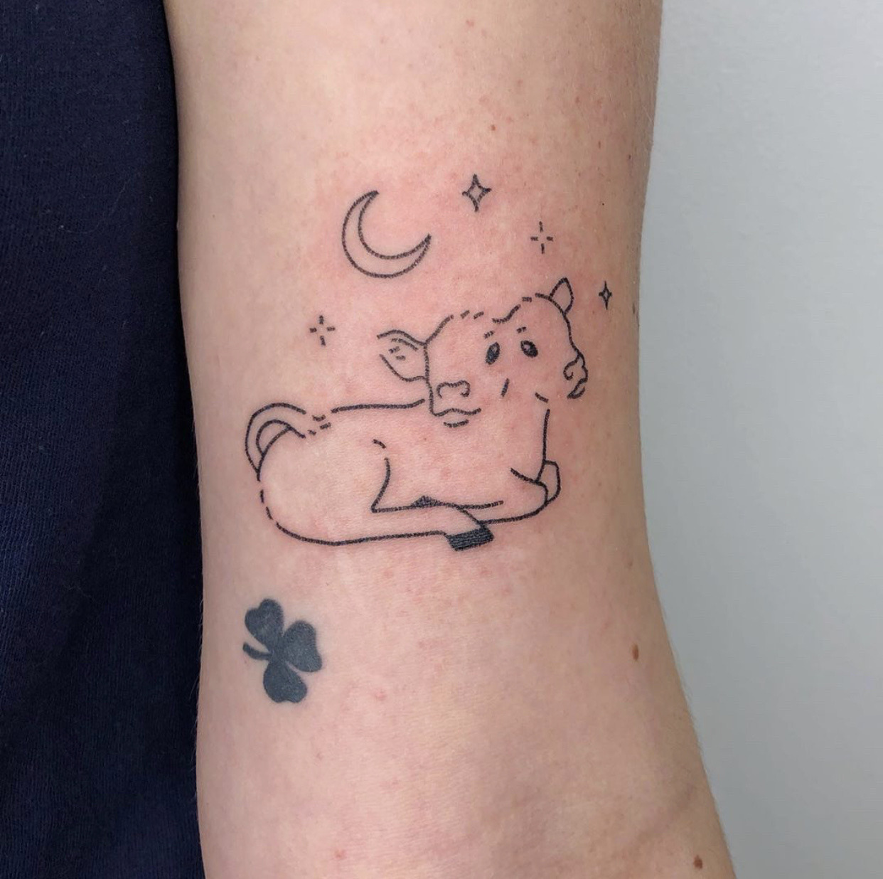 The TwoHeaded Calf by Laura Gilpin twoheadedcalf tattoo poem laur   TikTok