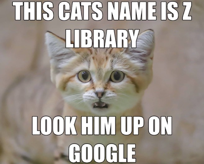 A picture of a kitten captioned with 'this cat's name is z library, look him up on google'