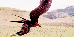 outlandlr:“But who assures us that if we leave, will be able to enter again in this magical co