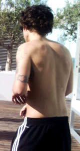  Harry Styles Back 