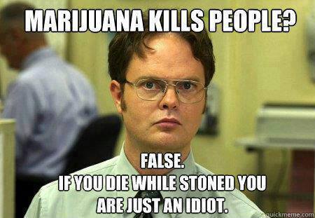 waffle-sw4g:  like for real, dying while stoned….you must be special -.-