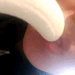 mashadp-blog-deactivated2021081: