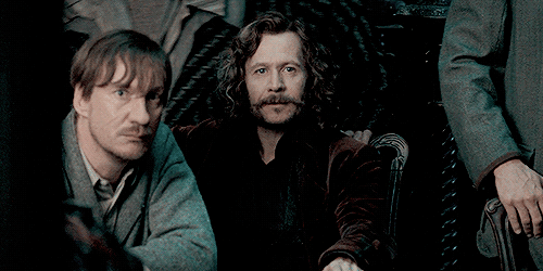 themundanemuggle:  shrewdslytherin:  They saw James for a second.   THIS IS NOT