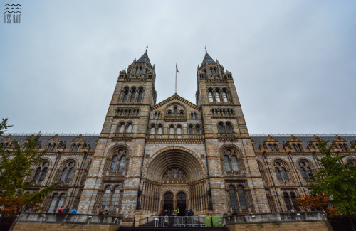 Magical Maritimes does London - Round Two! From the top down pictures include the Tower Bridge, Towe