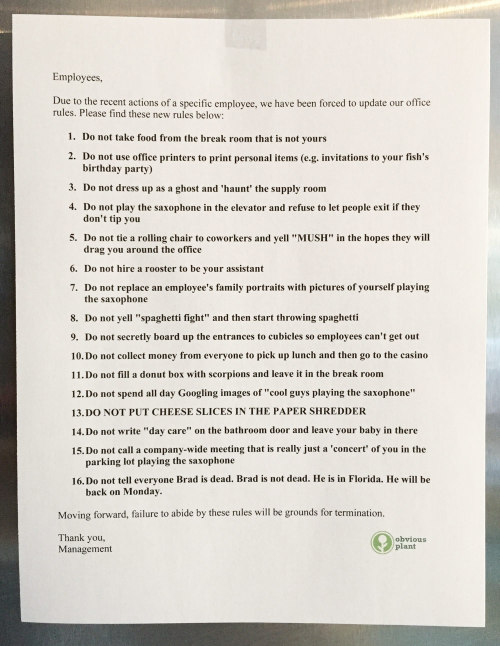 obviousplant:I left some new office rules in the break room of an office I don’t work at