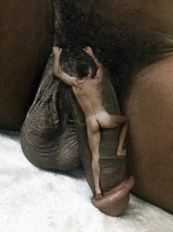 iloveblackdic: My black cock addiction knows