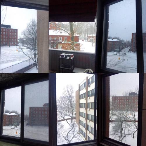 First #bosnow #blood has shed. Prepare the #SmokedPuffin and #FermentedUrineShark it&rsquo;s goi
