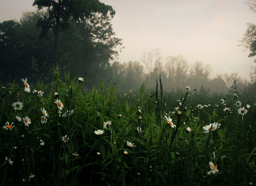 lovequotesrus:  Everything you love is here