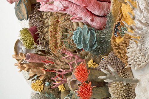 littlelimpstiff14u2:Ceramic Coral Reef by Courtney MattisonOur Changing Seas III is the third piece 
