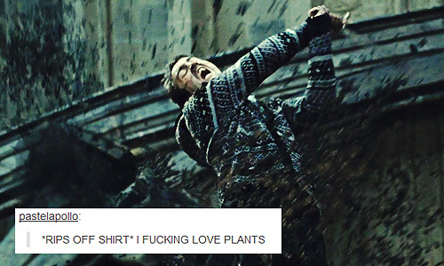 Porn feverfudges:  harry potter + tumblr  my god, photos