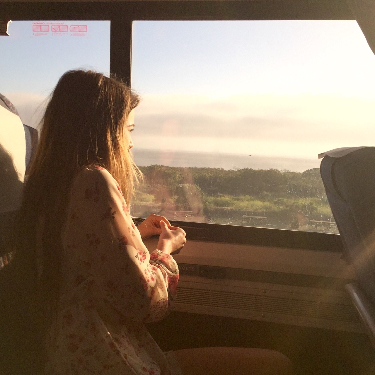 flowury:dreamy