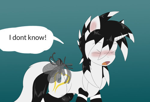 Taboo Pony