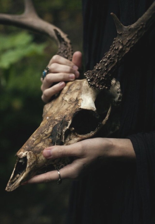 celticforestwitch: Celtic Forest Witch Aesthetic