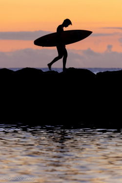 surfing-the-salt-life:  Surfing til Sundown
