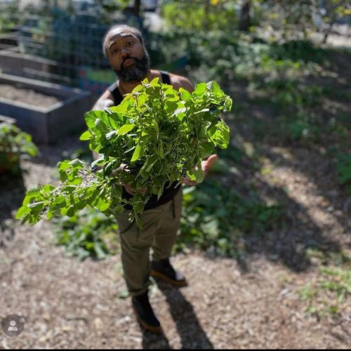 Repost @offthestrength_ at #TehutiMaatGarden — We’re about fully volunteer run grassroots cooperativ