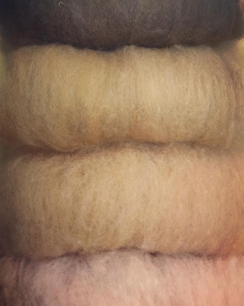 Working on dyeing and carding some skin colors for needle felting kits! #needlefelt #dyeingwool #car