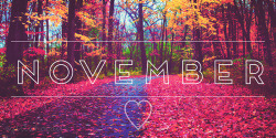 submissiveinclination:  November is gone