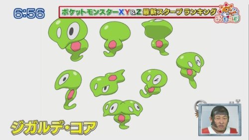 demshinypokeballs:Character Designs for the Zygarde forms!