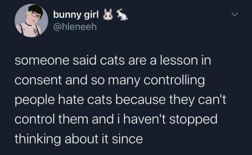 witchesversuspatriarchy:Suddenly feline familiars make perfect sense