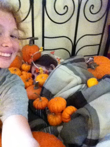 omgmyfeels:  wingscanspeak:  Hola, wingamigos! Hollymim here! Lets see how many pumpkins
